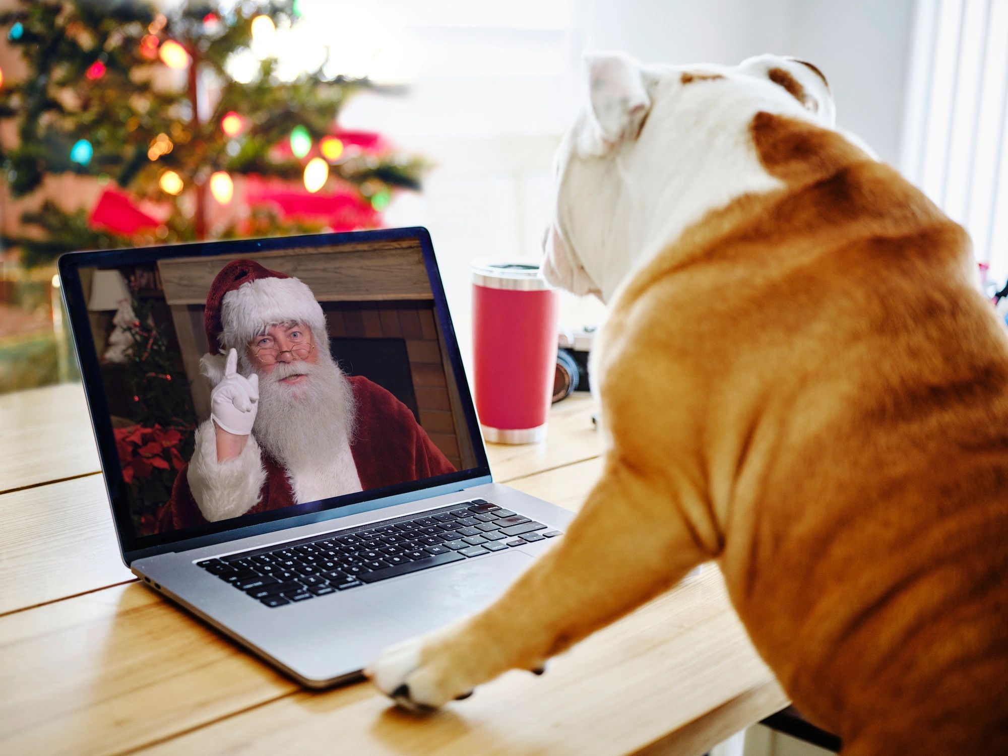 Santa Claus virtual meeting