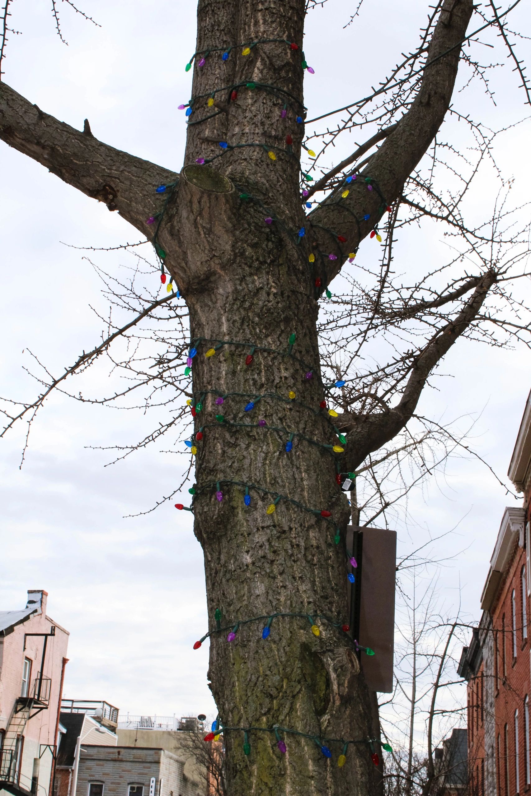 Christmas magic, Santa with twinkling lights, Baltimore
